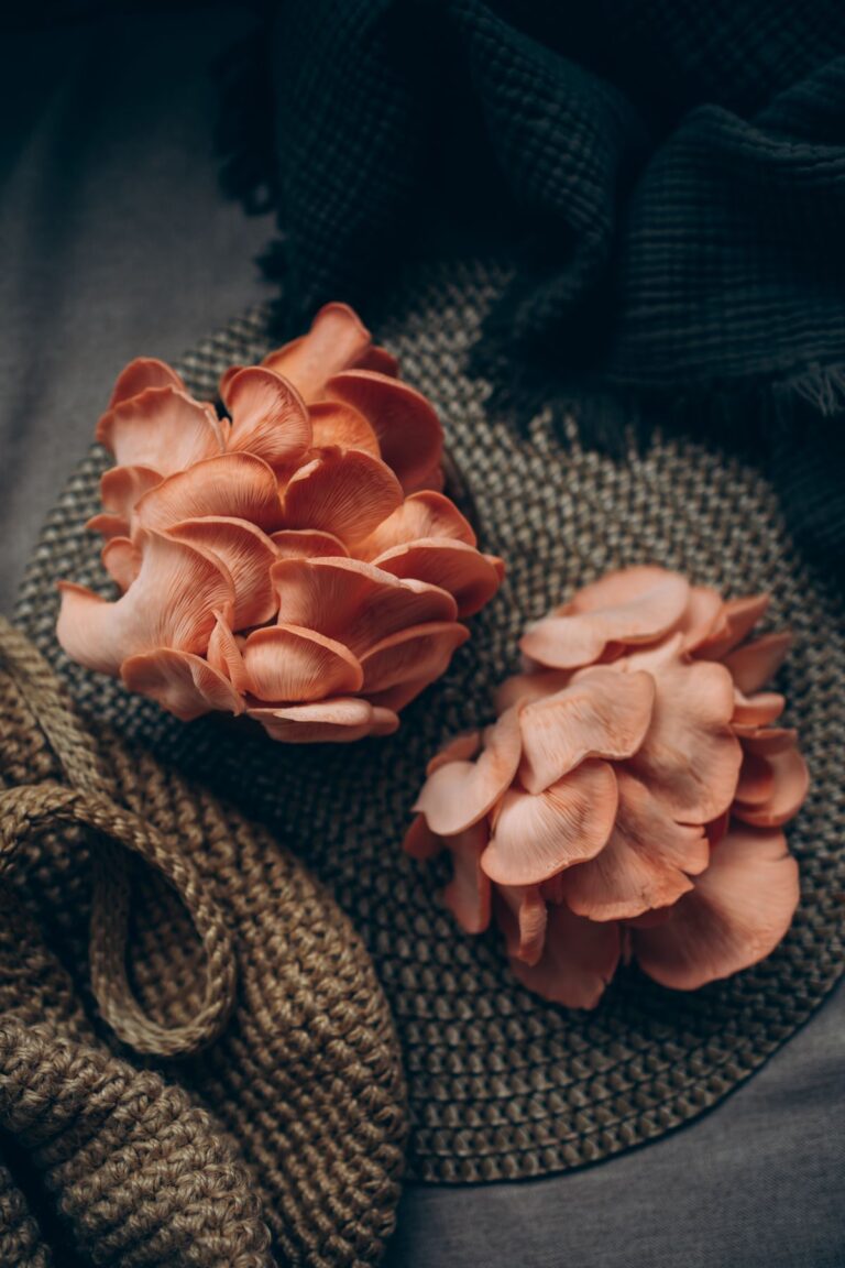 Fresh pink oyster mushrooms with delicate rosy frills